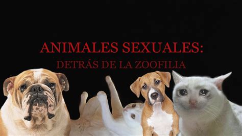 sexoconanimales|Vídeos sexuales con animales y películas porno de bestialismo。